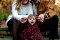 Thanksgiving / Xmas Card